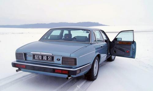 cropped-13227753_1168970776469598_8213207127977377380_o